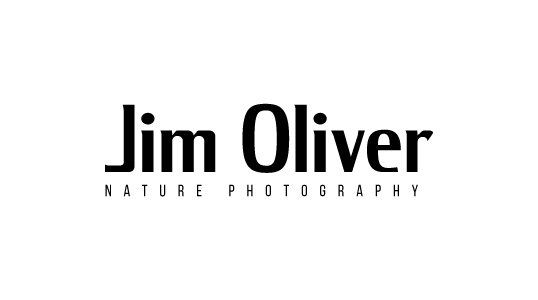 Joliverphoto logo